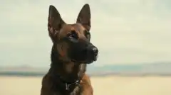 Фоллаут 1 сезон 7 серия
